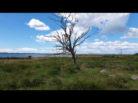 Torhamns udde 10/7-22