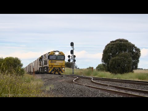 6MP4 TOLL / Pacific National Container Freight Train (13/11/2020) - PoathTV Australian Railways