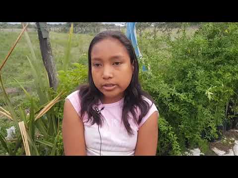 El desafío de aprender en casa o desde un hospital