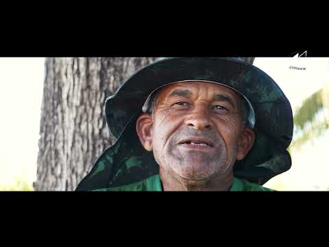 Homenagem da Coogavepe a todos os Garimpeiros