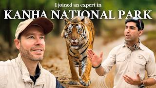 The Smartest Way to See Tigers in India – With a Local Expert! MQDEFAULT Thumbnail
