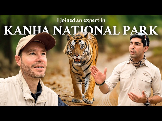 The Smartest Way to See Tigers in India – With a Local Expert! SDDEFAULT Thumbnail