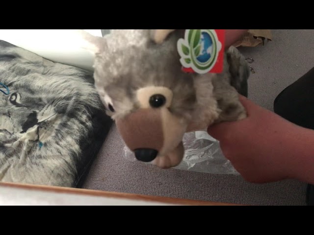 Vídeo relacionado con Wild Republic Flipkins Wolf, Peluche, 12 cm, Plush Toy, Fill is Spun Recycled Water Bottles