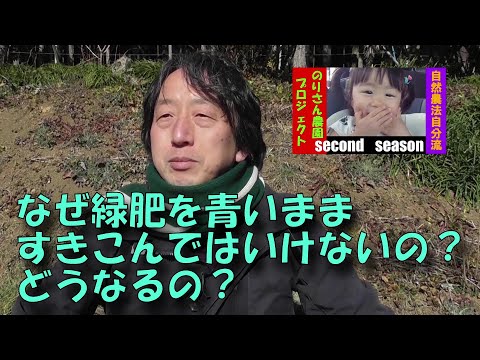 ファセリアを緑肥として使用するにはどうすればよいですか?彼の他の仕事は何ですか？  庭園