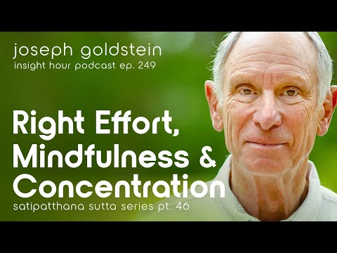 Satipatthana Sutta Finale with Joseph Goldstein – Insight Hour Ep. 249 – Satipatthana Sutta Pt. 46
