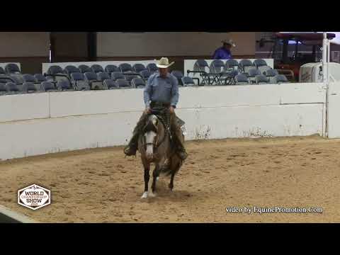 2023 APHA World Show Ranch Pleasure - Spooks A Shiner Too
