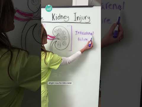 Acute Kidney Injury 🫘 #RN #BSN #futurenurse