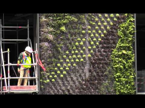 Patrick Blanc talks vertical gardens One Central Park 2012