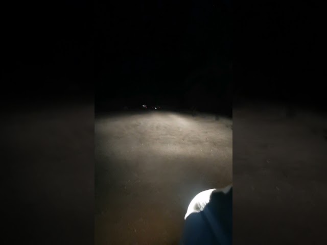 أنوار LED بجودة عالية شرايح philips متوفر لون 5700...