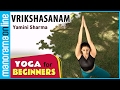 Vrikshasanam Yoga For Beginners By Yamini Sharma Health Benefits Manorama Online