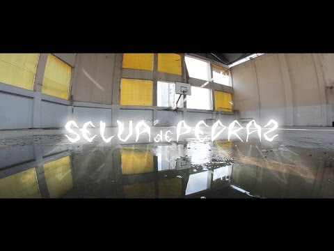 Ecoalaize e Michael Dread ft. Majestic - Selva de Pedras (CLIPE OFICIAL)