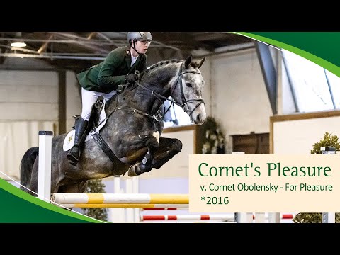 CORNET´S PLEASURE v. Cornet Obolensky - For Pleasure