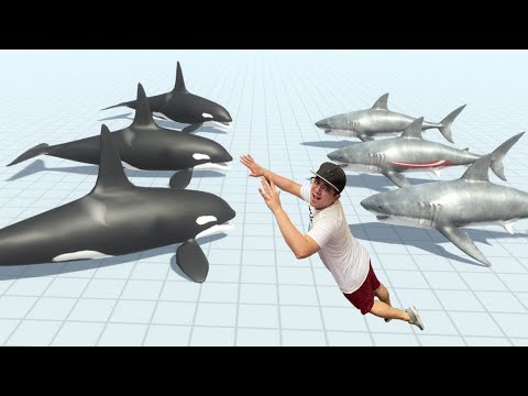 BATALHA DE ANIMAIS AQUÁTICOS!! (BALEIA ORCA vs TUBARÃO) - Animal Revolt Battle Simulator