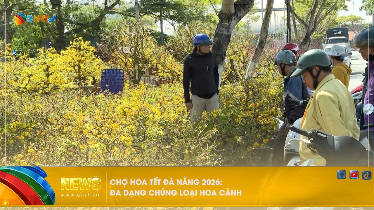 CHỢ HOA TẾT ĐÀ NẴNG 2026 ĐA DẠNG CHỦNG LOẠI HOA CẢNH