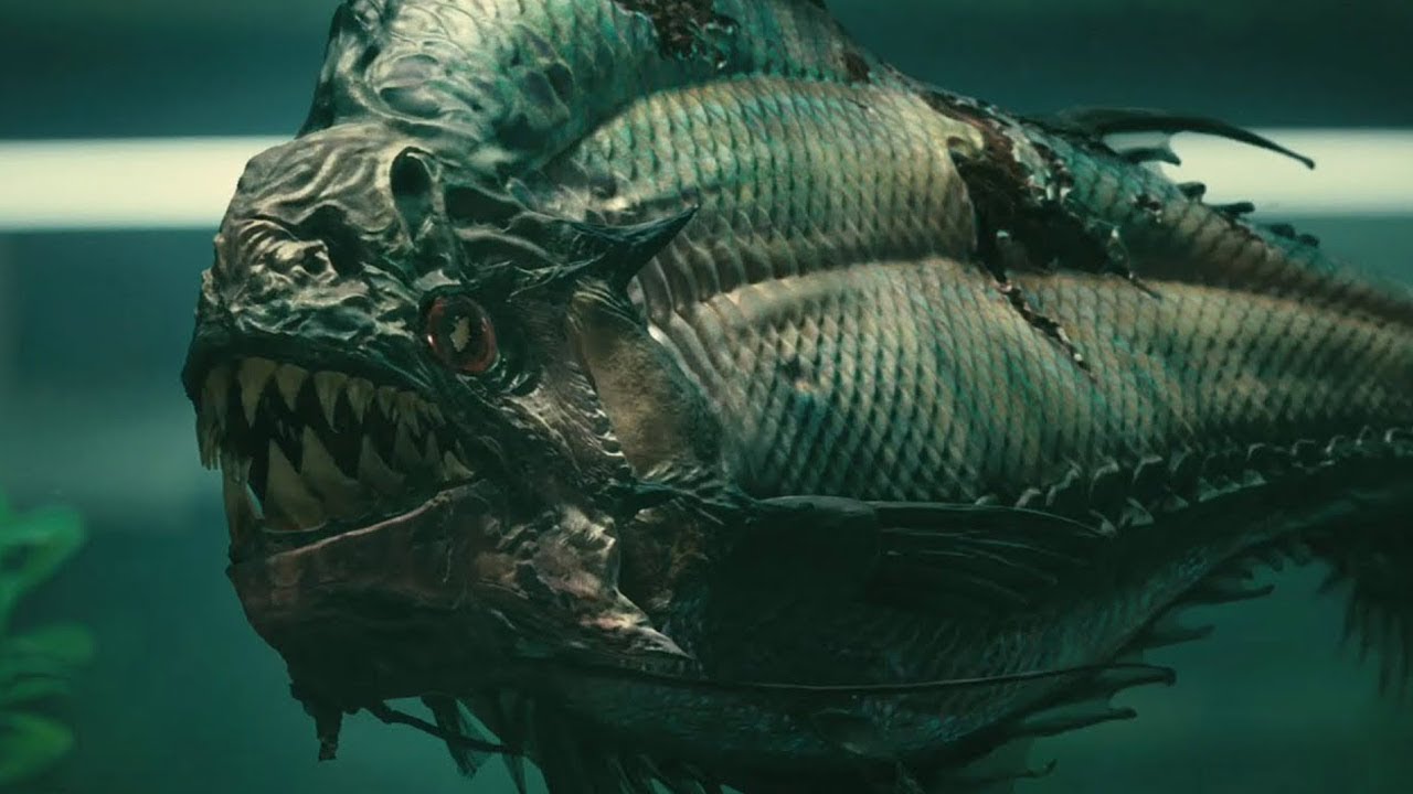 दुनिया की सबसे खतरनाक मछलियां|10 of the World's Most Dangerous Fish|10 Deadliest Fish
