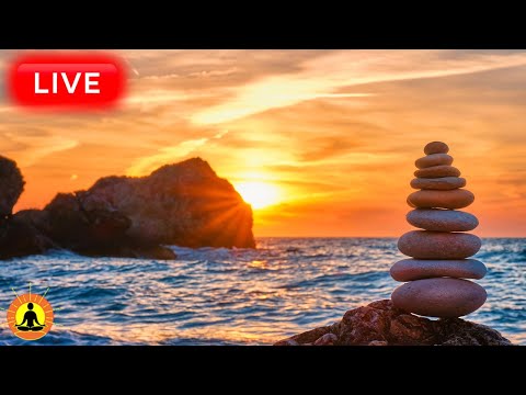 ???? Relaxing Zen Music 24/7, Stress Relief Music, Sleep Music, Meditation Music, Study, Calming Music