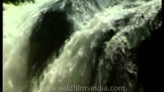 Vasudhara Falls - Saraswati river disappears into chasm and reappears at Allahabad!