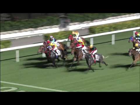 Back In Black - Karis Teetan (13 January)