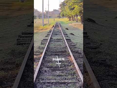 Abandono em Arapoti e Ventania PR