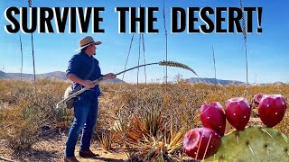 11 Desert Plants For Survival Bushcraft  Primitive Skills Desert Bushcraft