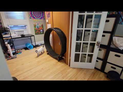 808 E 3rd Street - Video 2 of 2