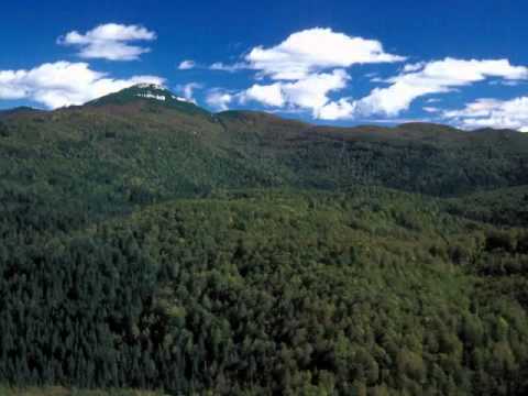 Oliver Shanti Medicine Man's Other Room