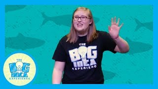 What Happens Next: Humility