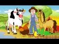 Old MacDonald had a Farm Nursery Rhymes and ...