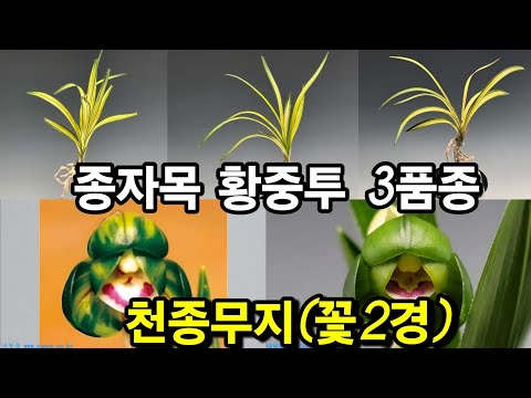 유튜브 썸네일