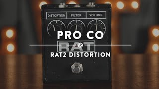 ProCo RAT2 Distortion (Original) | Reverb Demo Video