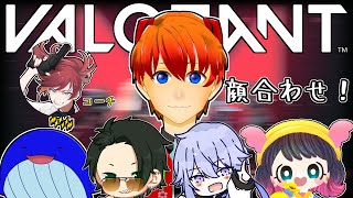 【#VALORANT】みんな揃った！顔合わせ！　＃初ヴァロカップ【式波リン/VTuber】