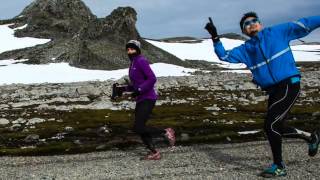Antarctica and Punta Arenas