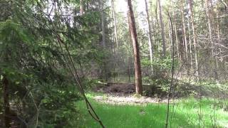 Gefahrenquellen durch Sturmschäden