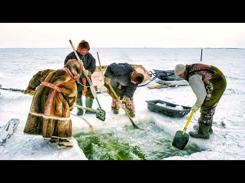 Фото Рыбный промысел Карского моря | Полярные истории