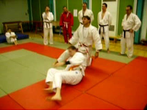 Ray Stevens JUDO BJJ NEWAZA Seminar