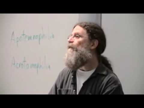 Robert Sapolsky - Stendhal's syndrome