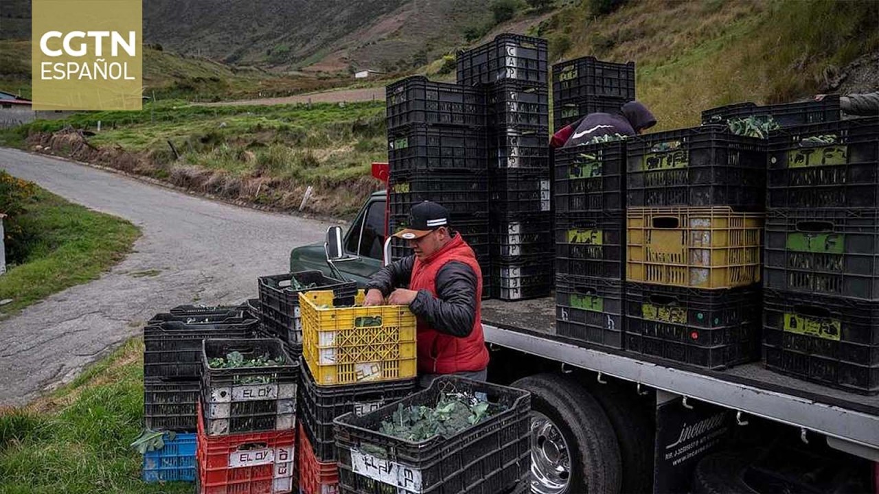 Agricultura venezolana se prepara para enfrentar consecuencias de la sequía del fenómeno del Niño