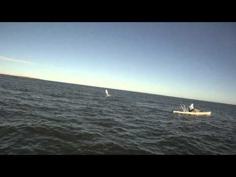 Above the 26th Parallel - Teaser