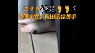 【保守党】まさかまさかの裸足？透明なストッキング？地方選挙は2勝1敗！