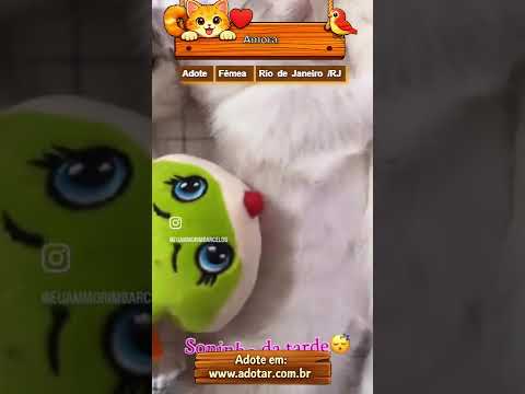 Vídeo de Amora
