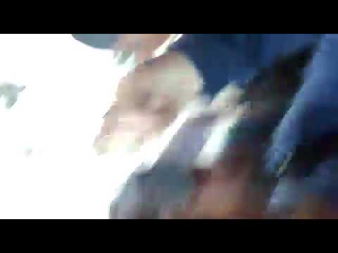 Bert e Grif X JT e Baianow - Batalha da torre - 19 Edição!