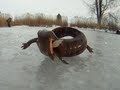 Ice Fishing Salamander - YouTube