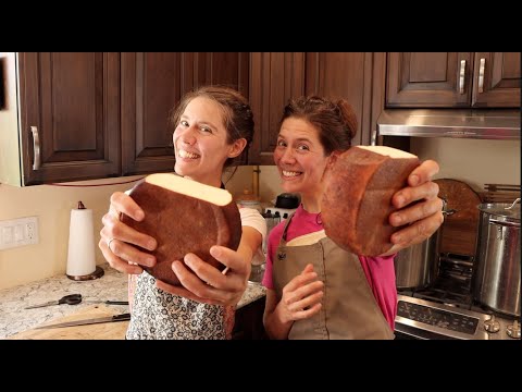 How to Make GOUDA Cheese: A Complete Guide