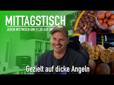 Was mögen dicke Karpfen? | Aufbau vom Futterplatz | Mittagstisch #55