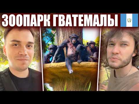 ГЛЕБ и ЮРА в ЗООПАРКЕ ГВАТЕМАЛЫ #1 | Sasavot