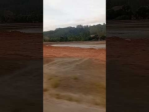 plantio de arroz em SC cidade José Boiteux #edimoncao #plantação #chácara #arrozblanco #sitio #reels