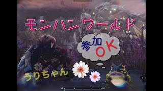 【どうぞぞうぞ！参加OK】深夜の十中八九したいよ！の方～♪モンハン