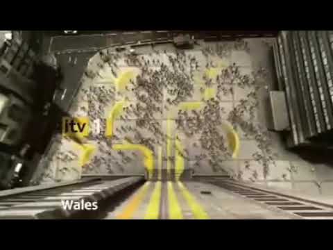 ITV1 Wales Ident - 2006-2013