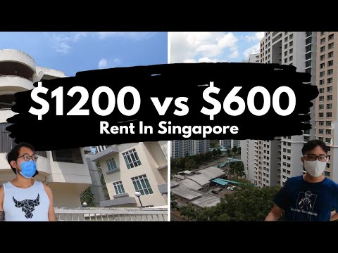 For Rent Studio Flat