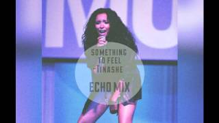 Tinashe Something To Feel Echo mix